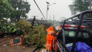 Hujan Angin Terjang Kemang Bogor, Pohon Tumbang dan Sejumlah Bangunan Rusak