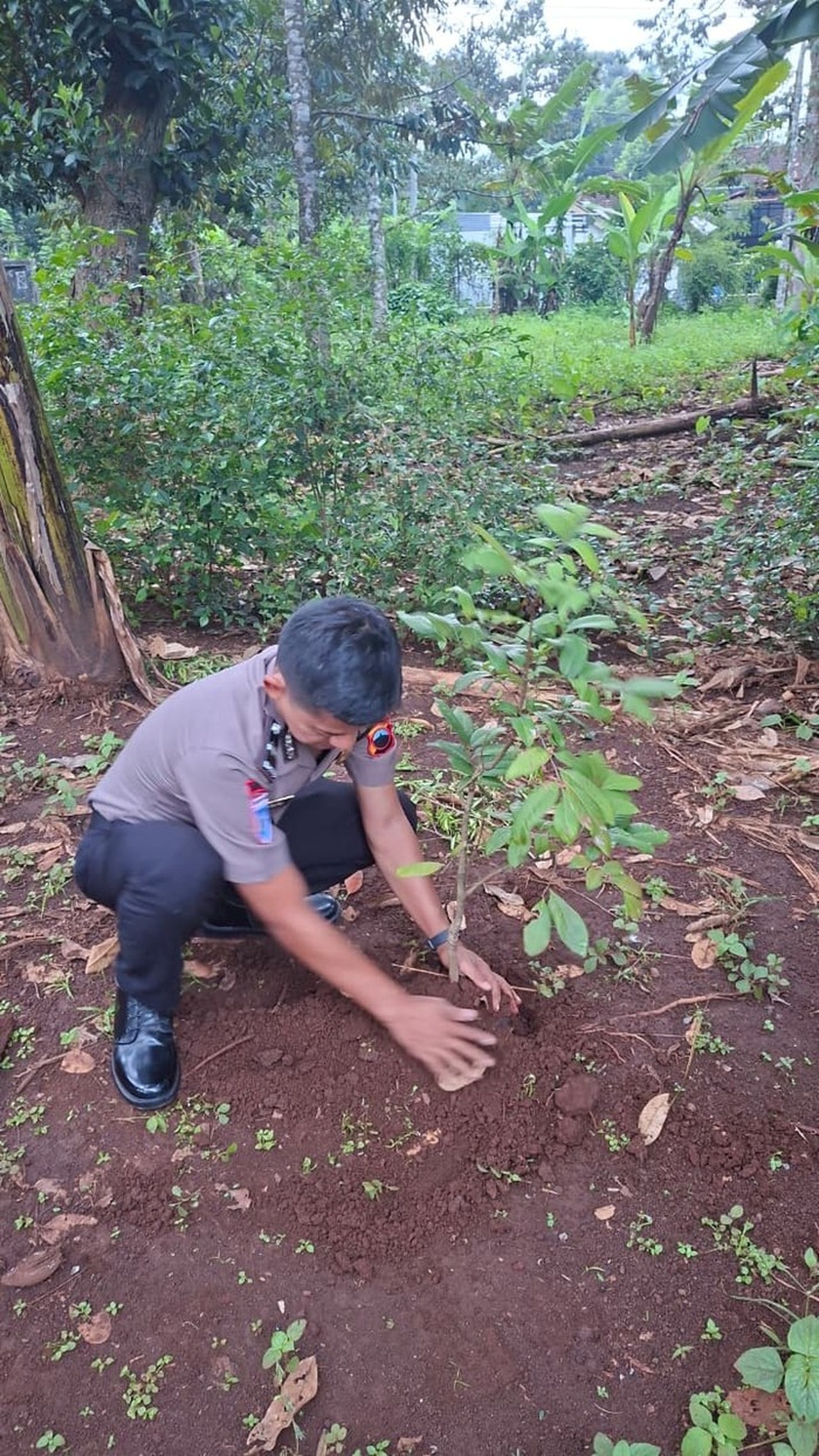 Kapolda Jateng Wajibkan 3.394 Personel yang Naik Pangkat Tanam 13.576 Pohon Kapolda Jateng Wajibkan 3.394 Personel yang Naik Pangkat Tanam 13.576 Pohon